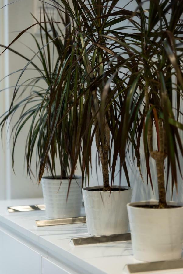 Central Cozy Studio With A Secret Garden 雅典 外观 照片